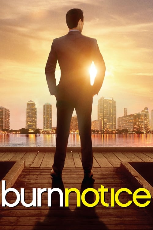 Burn Notice : 3.Sezon 6.Bölüm İzle